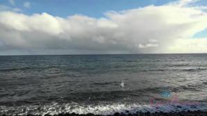 You check out the island and fuck Carmen in the car.